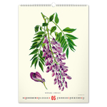 Vintage Posters - Herbarium, képes falinaptár 2027