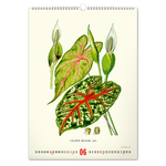 Vintage Posters - Herbarium, képes falinaptár 2027