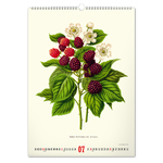 Vintage Posters - Herbarium, képes falinaptár 2027