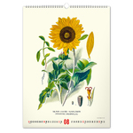 Vintage Posters - Herbarium, képes falinaptár 2027