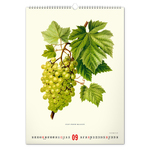Vintage Posters - Herbarium, képes falinaptár 2027
