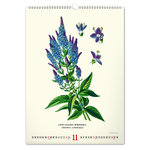 Vintage Posters - Herbarium, képes falinaptár 2027