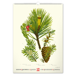 Vintage Posters - Herbarium, képes falinaptár 2027