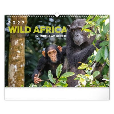 Wild Africa, képes falinaptár 2027