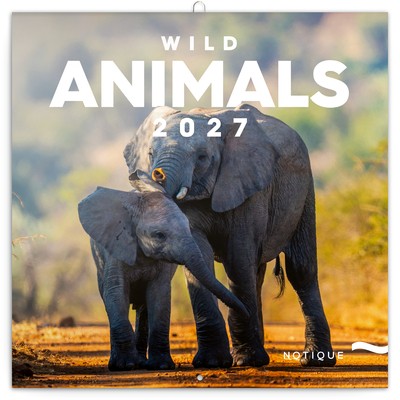 Wild Animals, képes lemeznaptár 2027