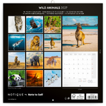 Wild Animals, képes lemeznaptár 2027