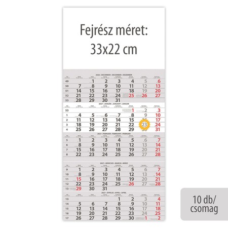 SP15, 12 lapos 5 hónapos speditőr naptár - Üres, nyomtatható fejrésszel, 10db/csomag