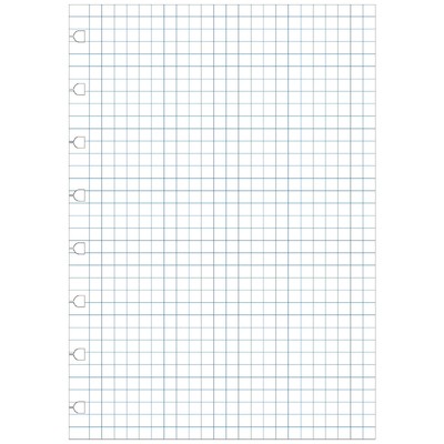Filofax Notebook Jegyzetlap Négyzethálós A5 Fehér